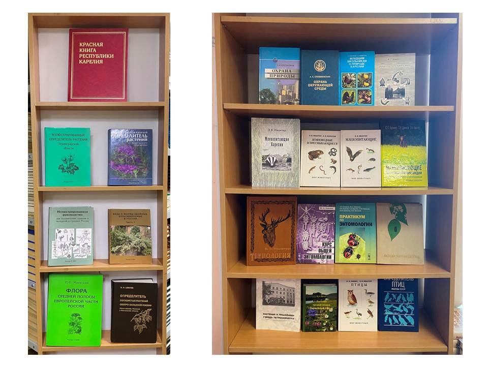 фото выставки